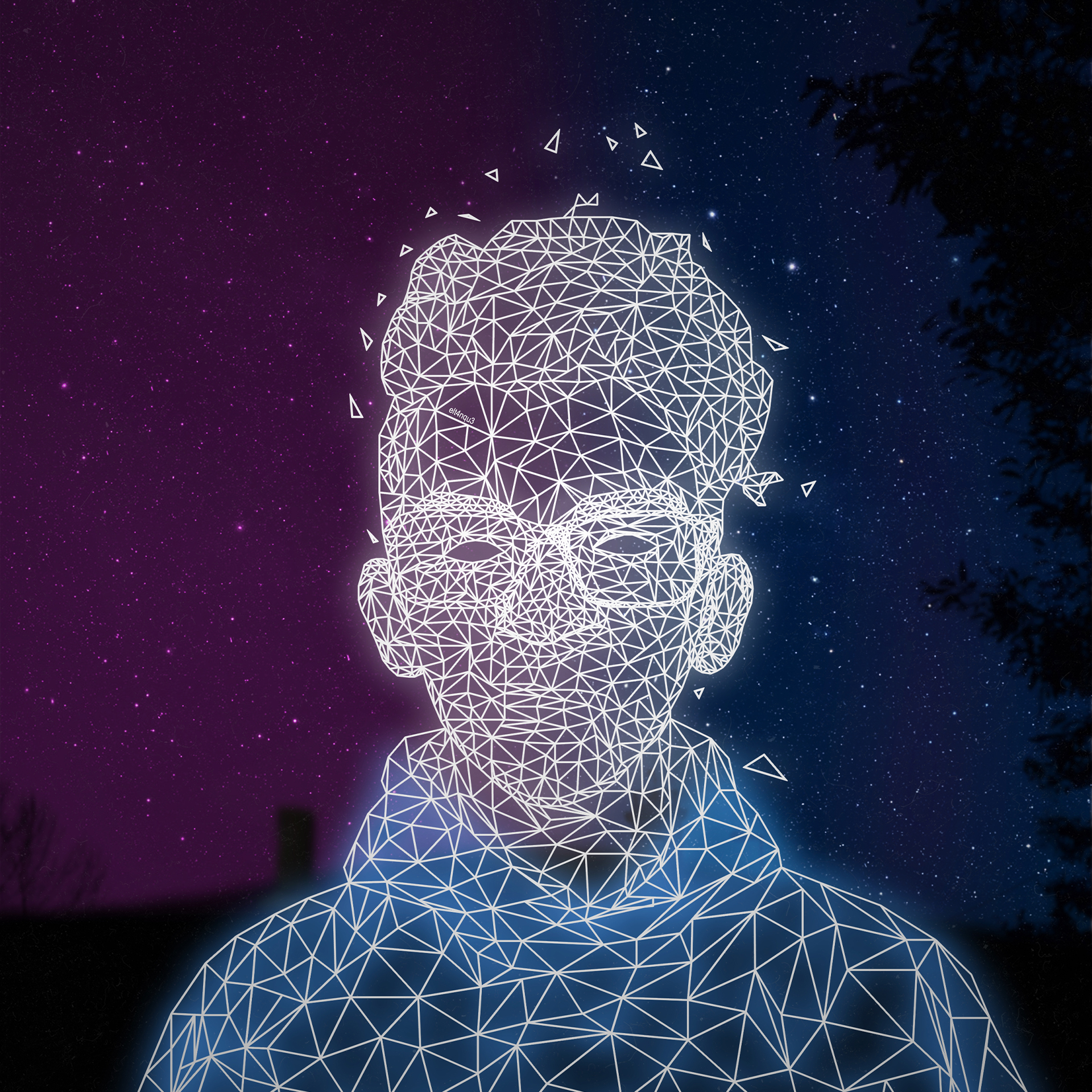 Autoritratto in stile LowPoly