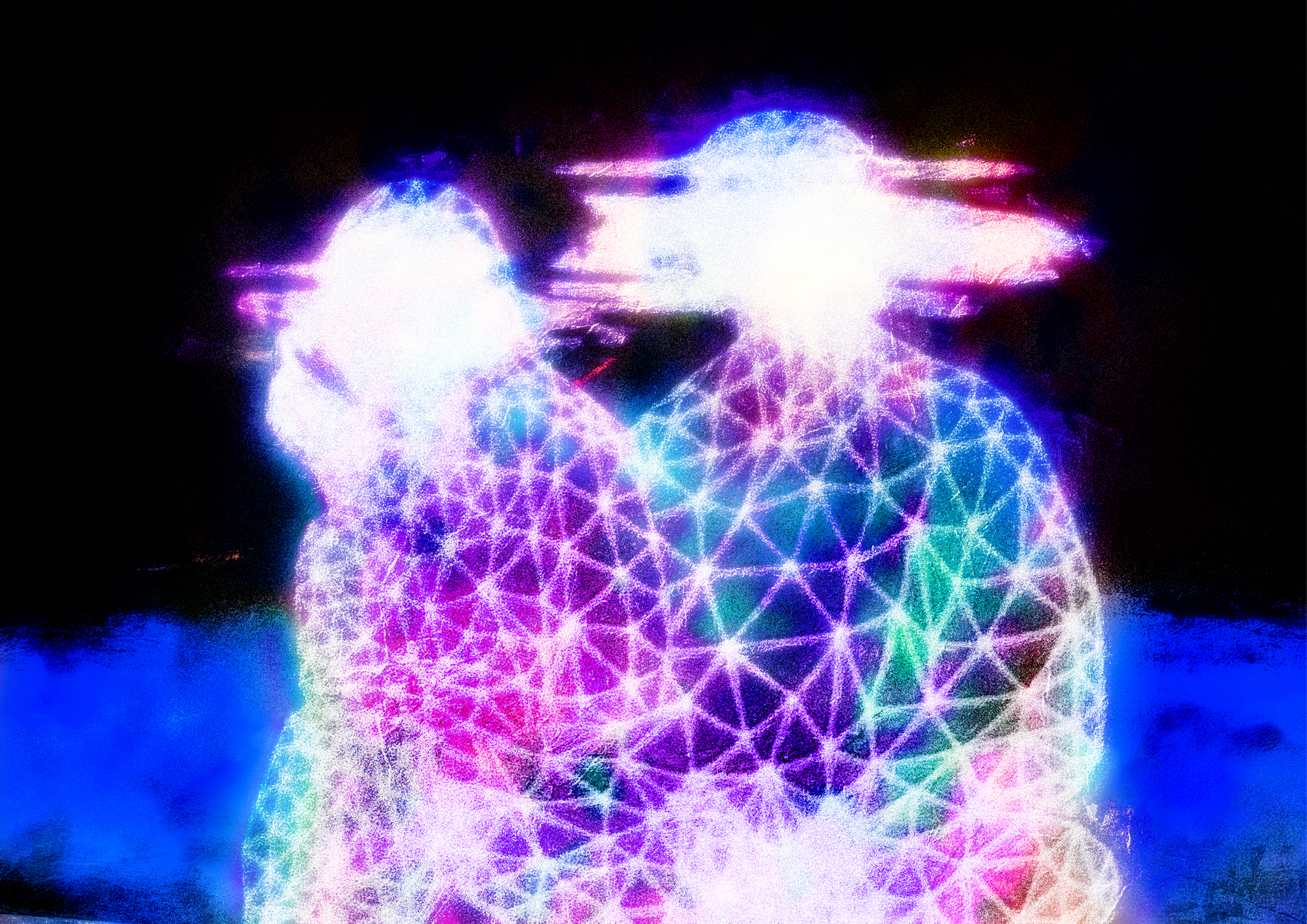 Luce